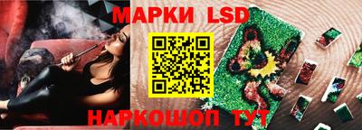Альфа ПВП Ярославль