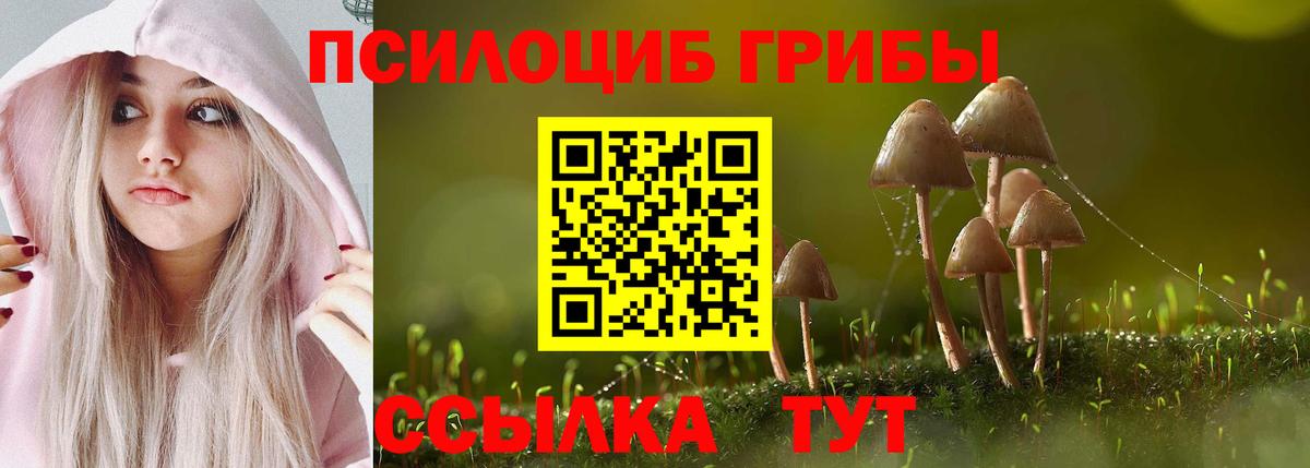 Галлюциногенные грибы Magic Shrooms Балашиха